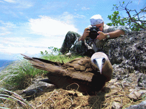 AlbatrosFS