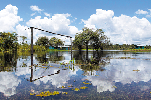 Americas Quarterly - Winter 2015 - Flooding in Manaus