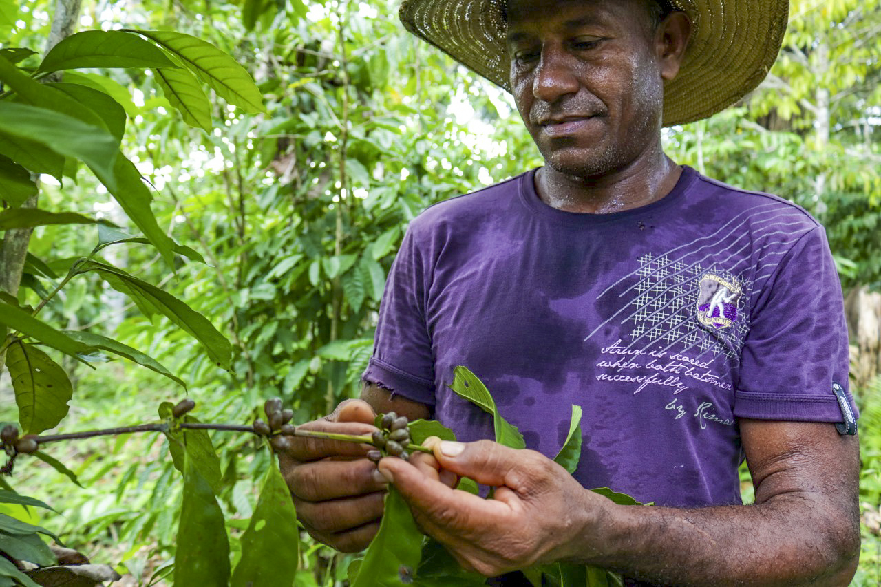 amazon case study rainforest