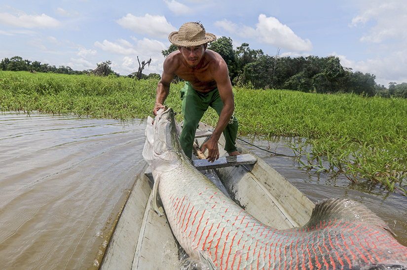 What an Ugly (But Delicious!) 450-Pound Fish Tells Us About