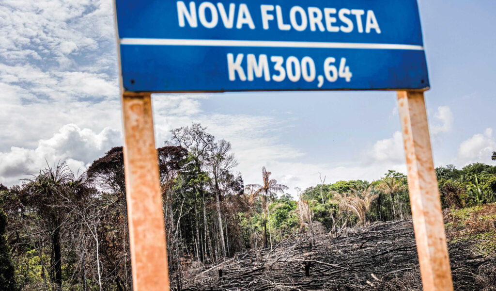 A signpost along a highway in the Amazon stands in front of a scene of deforestation, a major challenge for the rainforest that can still be prevented.