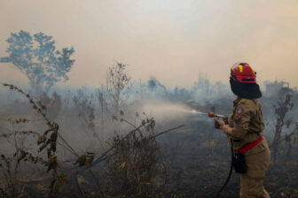 A firefighter combating a blaze in Brazil's Amazonas State. The U.S. can help Brazil fight deforestation, author argue, by employing trade policy.