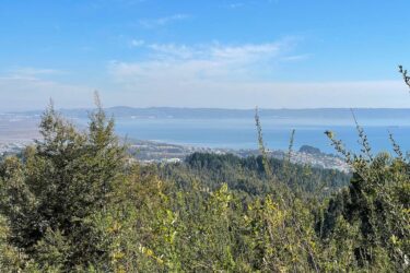 View from the hills outside Concepción, Chile, where Aclara plans to extract rare earths. Rare Earth Elements Are Trending. Will They Drive Latin America’s Next Mining Boom?