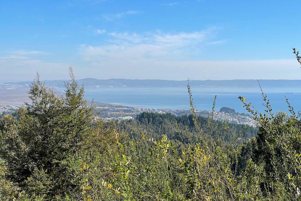 View from the hills outside Concepción, Chile, where Aclara plans to extract rare earths. Rare Earth Elements Are Trending. Will They Drive Latin America’s Next Mining Boom?