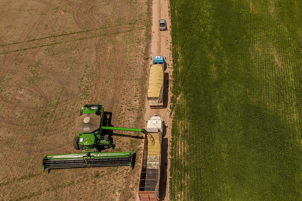 China Buys Brazil’s Soy and Beef – Not Its Loyalty